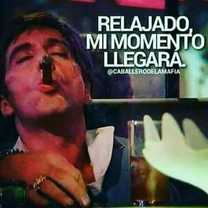 Meet your Posher, Frank